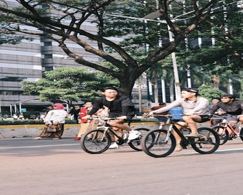 Aktivitas dan mobilitas siang hari